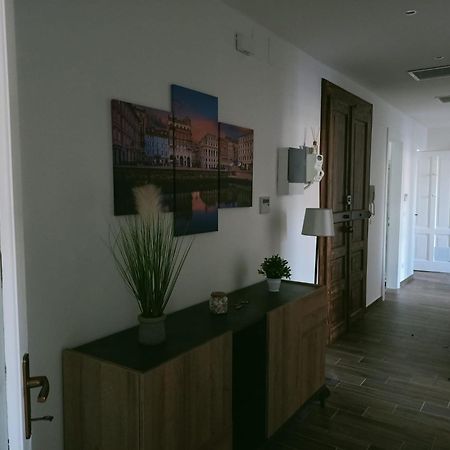トリエステCasa Peruginoアパートメント エクステリア 写真